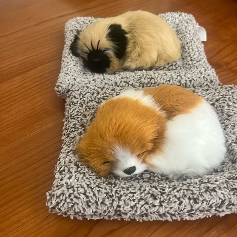 2 super cute dog stuffys and bed